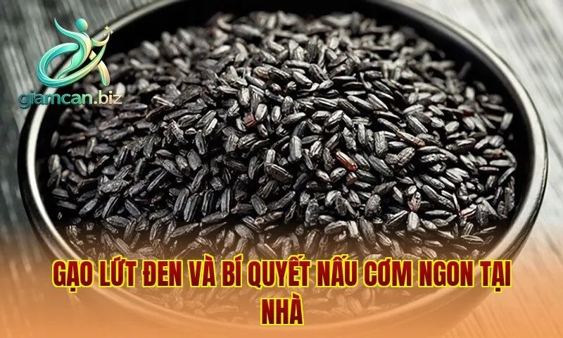 Gạo lứt đen và bí quyết nấu cơm ngon tại nhà