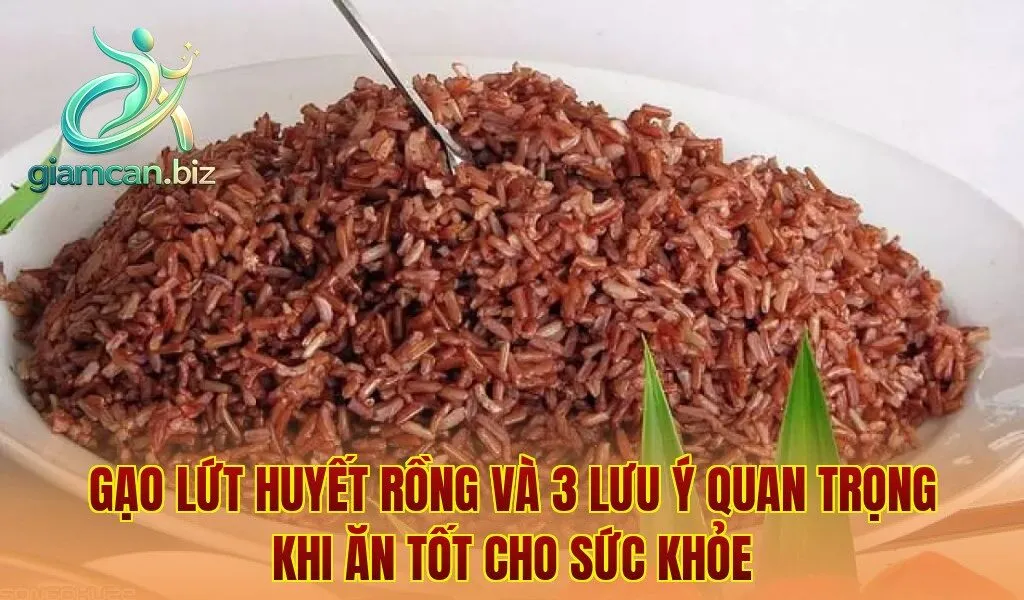 Gạo lứt huyết rồng và 3 lưu ý quan trọng khi ăn tốt cho sức khỏe