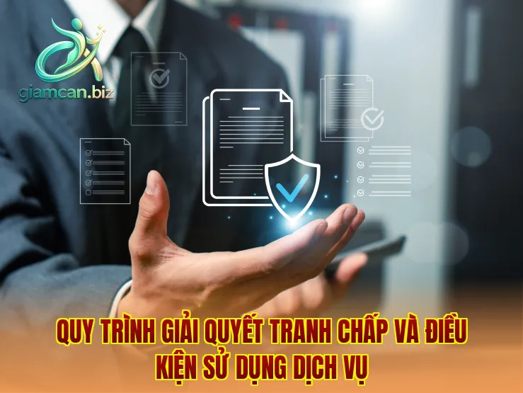 Quy trình giải quyết tranh chấp và điều kiện sử dụng dịch vụ