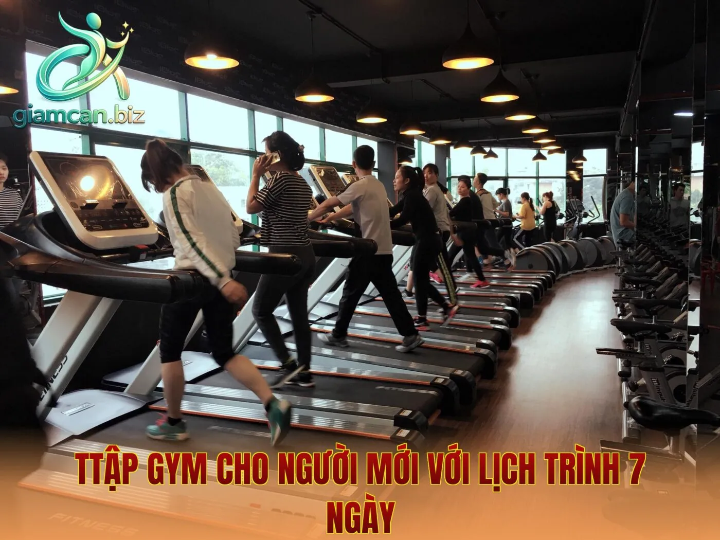 TTập Gym Cho Người Mới Với Lịch Trình 7 Ngày