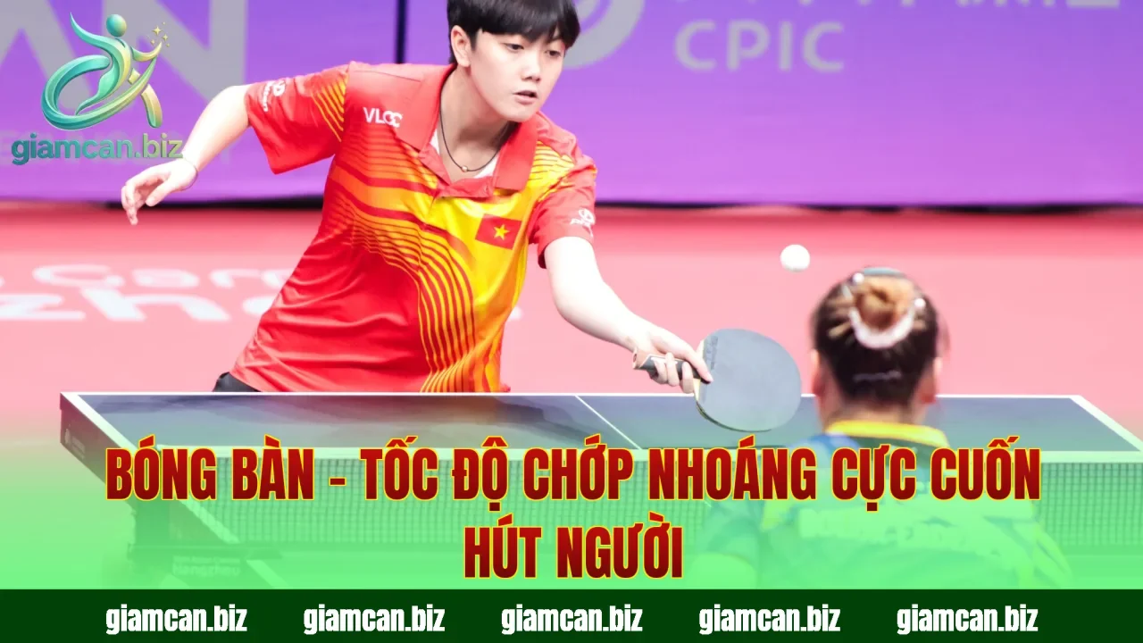 Bóng Bàn – Tốc Độ Chớp Nhoáng Cực Cuốn Hút Người