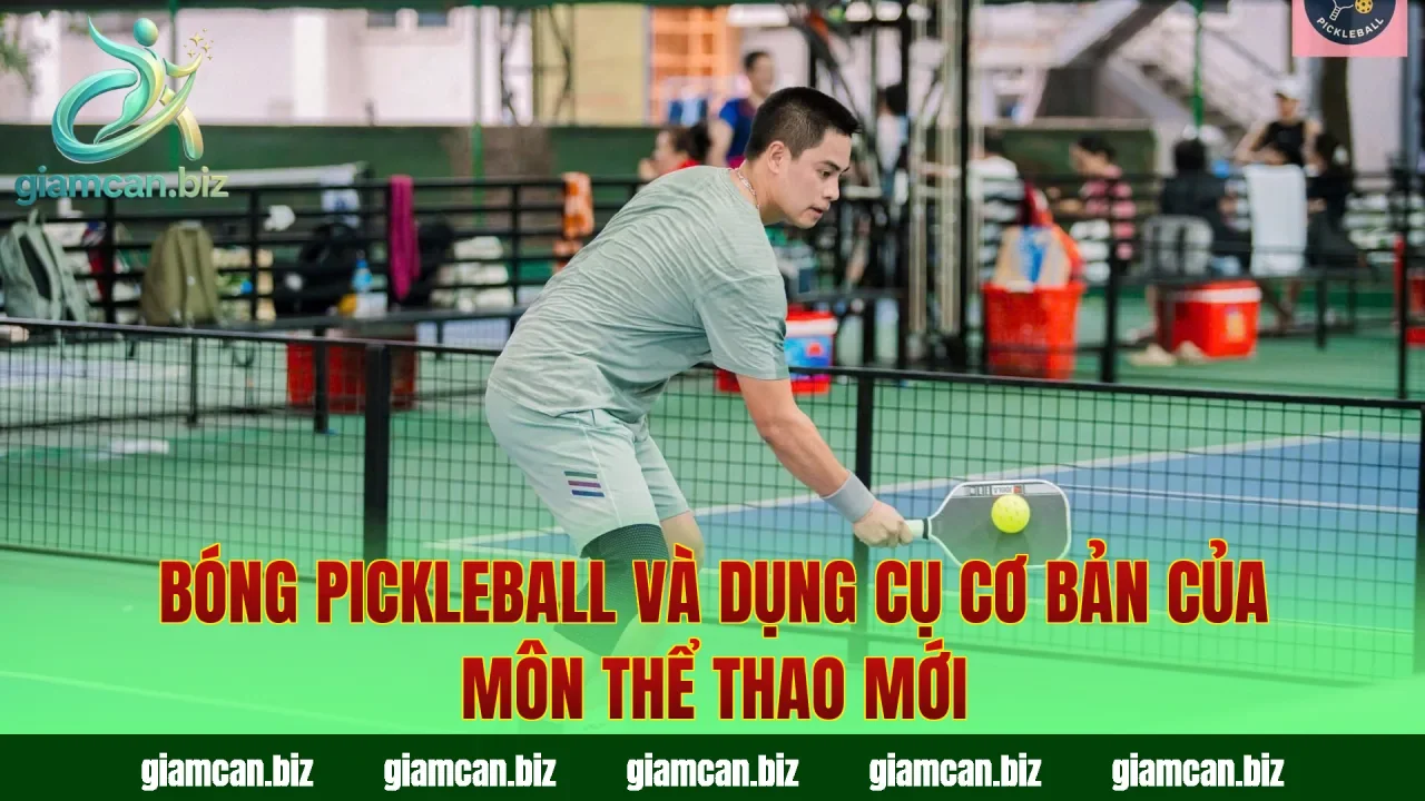 Bóng pickleball và dụng cụ cơ bản của môn thể thao mới