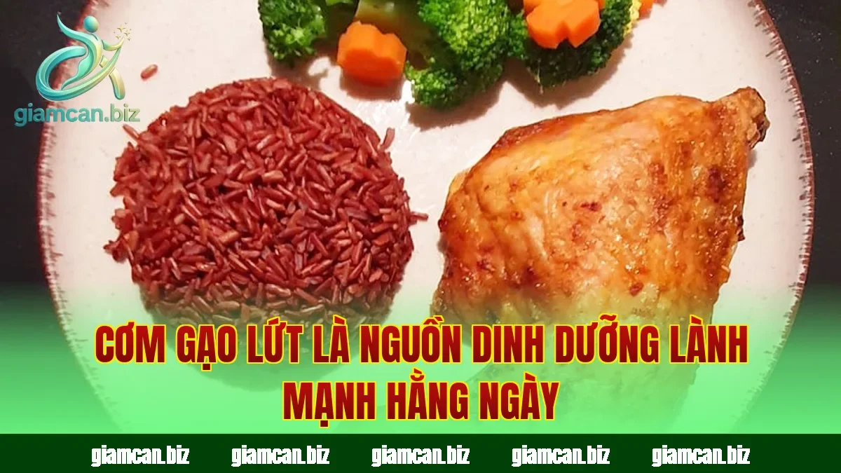 Cơm gạo lứt là nguồn dinh dưỡng lành mạnh hằng ngày