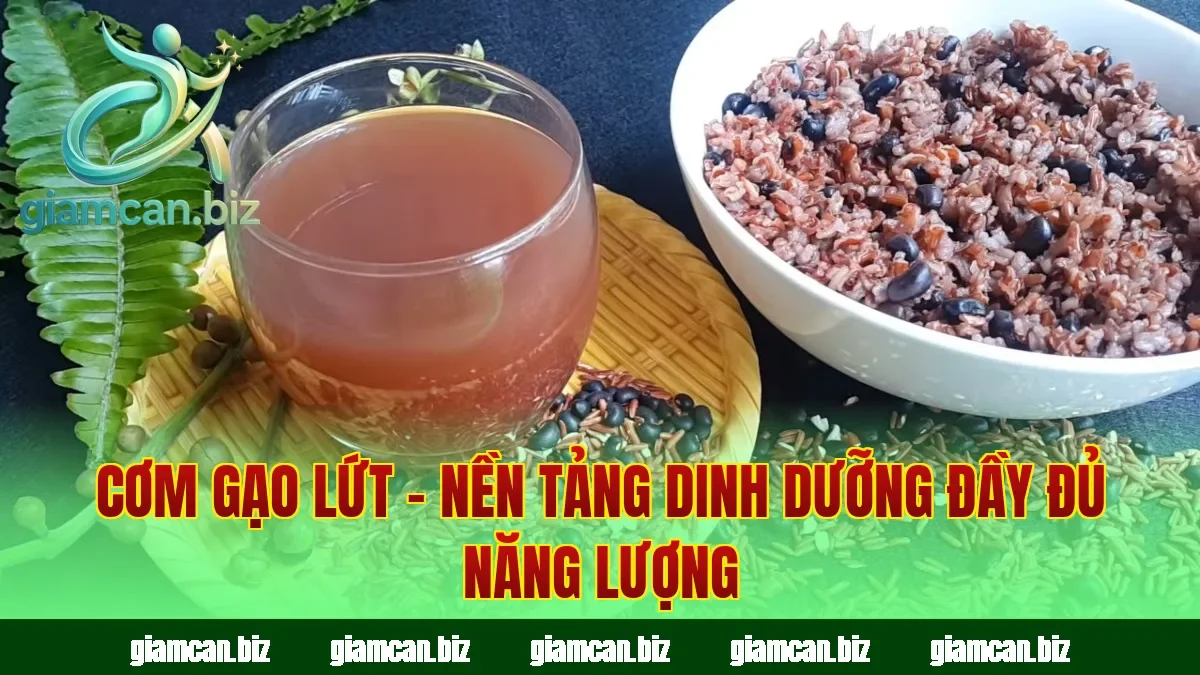 Cơm Gạo Lứt – Nền Tảng Dinh Dưỡng Đầy Đủ Năng Lượng