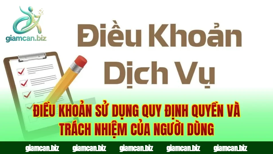 Điều khoản sử dụng quy định quyền và trách nhiệm của người dùng