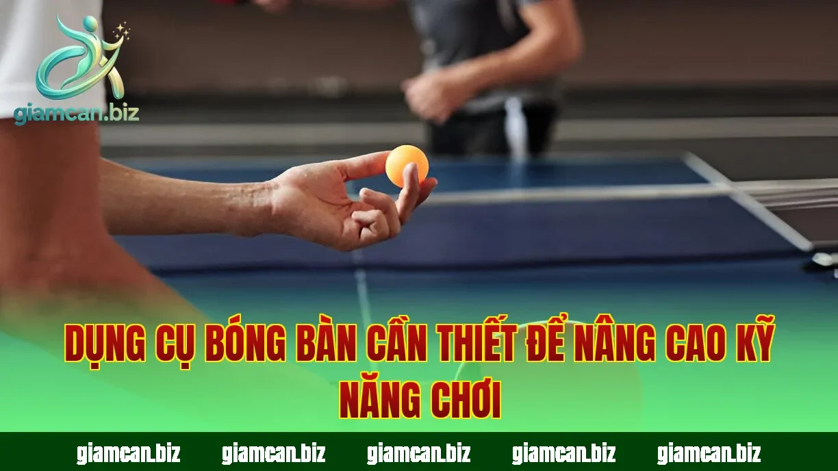 Dụng cụ bóng bàn cần thiết để nâng cao kỹ năng chơi
