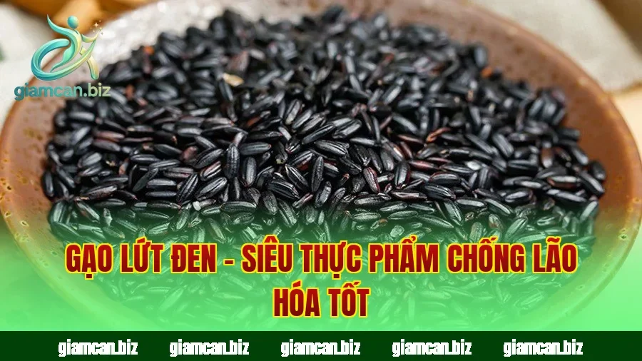 Gạo Lứt Đen – Siêu Thực Phẩm Chống Lão Hóa Tốt