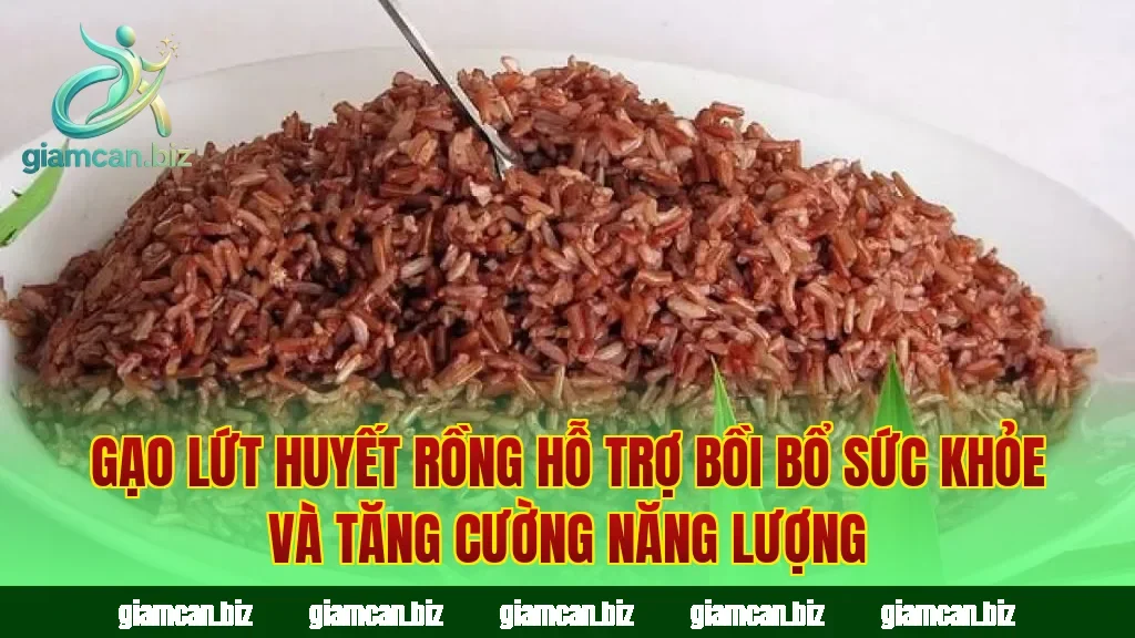 Gạo lứt huyết rồng hỗ trợ bồi bổ sức khỏe và tăng cường năng lượng
