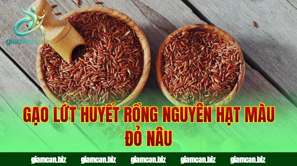 Gạo lứt huyết rồng nguyên hạt màu đỏ nâu