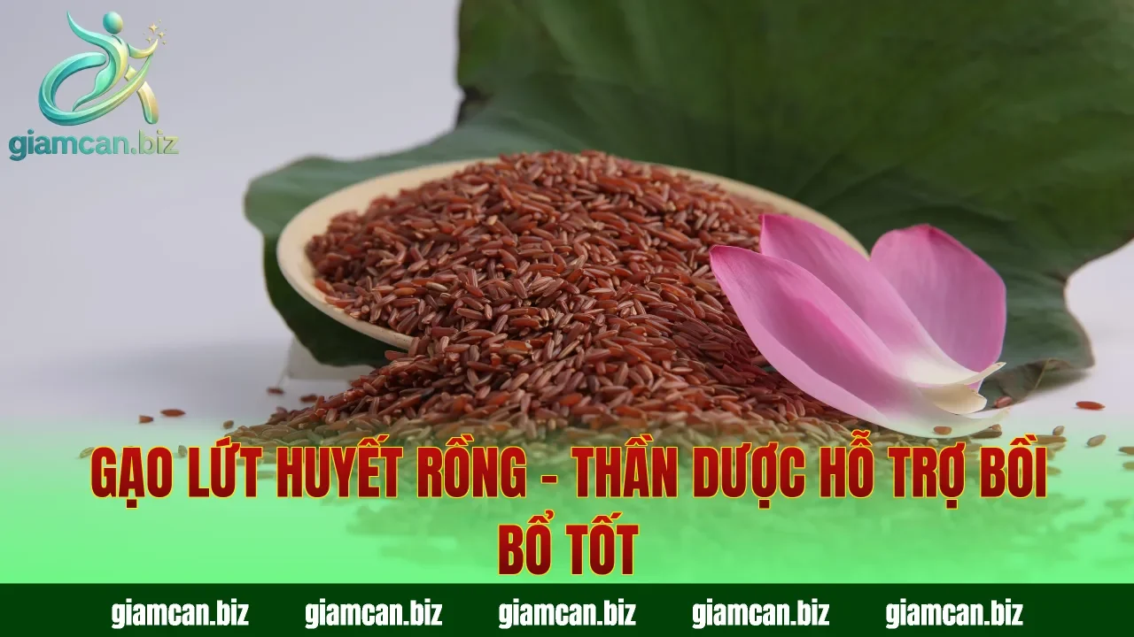 Gạo Lứt Huyết Rồng – Thần Dược Hỗ Trợ Bồi Bổ Tốt