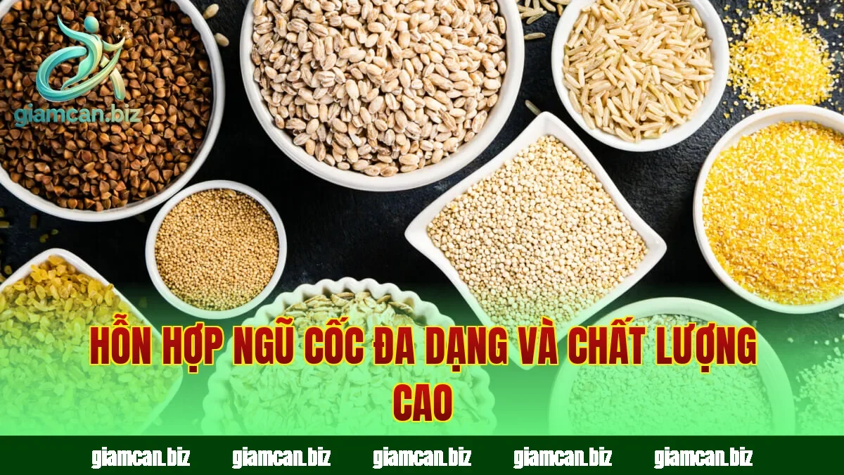 Hỗn hợp ngũ cốc đa dạng và chất lượng cao