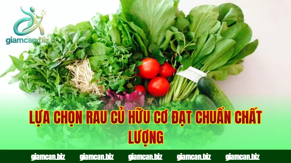 Lựa chọn rau củ hữu cơ đạt chuẩn chất lượng