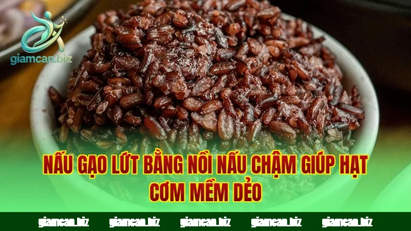 Nấu gạo lứt bằng nồi nấu chậm giúp hạt cơm mềm dẻo