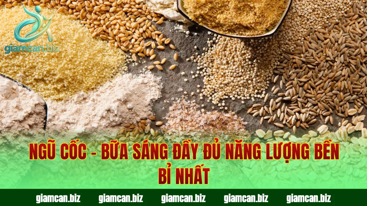 Ngũ Cốc – Bữa Sáng Đầy Đủ Năng Lượng Bền Bỉ Nhất