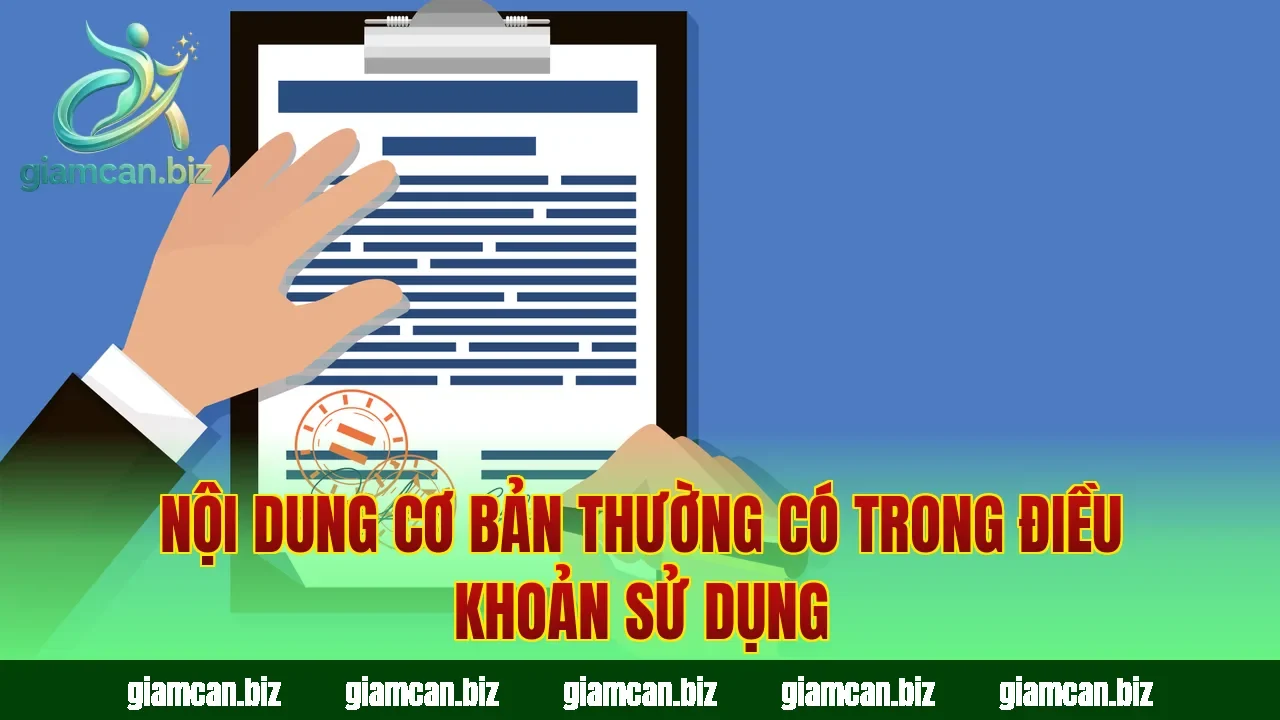Nội dung cơ bản thường có trong điều khoản sử dụng
