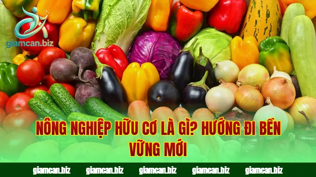 Nông Nghiệp Hữu Cơ Là Gì? Hướng Đi Bền Vững Mới