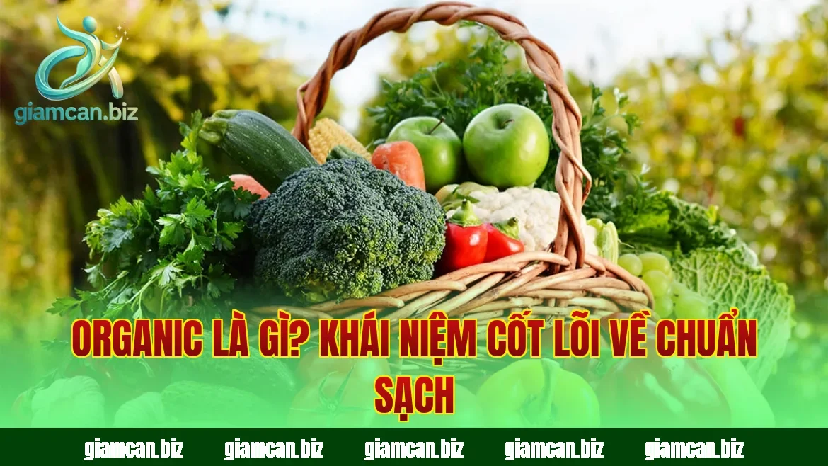 Organic Là Gì? Khái Niệm Cốt Lõi Về Chuẩn Sạch