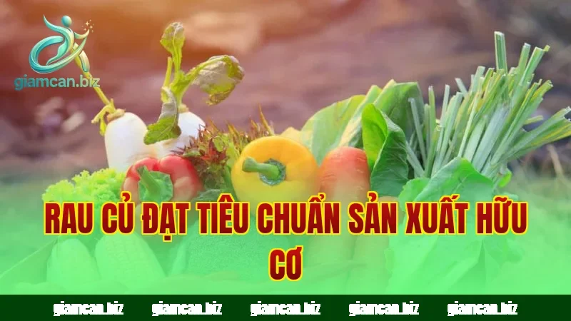 Rau củ đạt tiêu chuẩn sản xuất hữu cơ