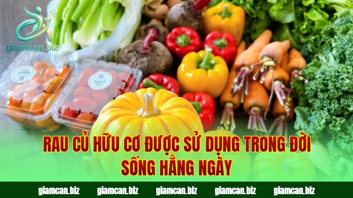 Rau củ hữu cơ được sử dụng trong đời sống hằng ngày