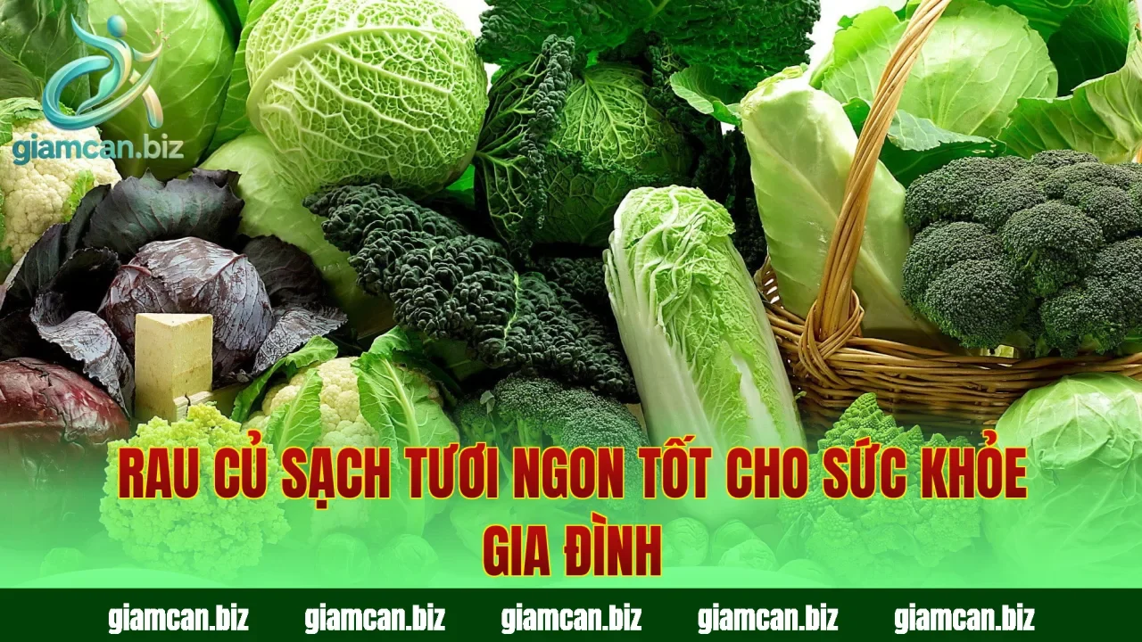 Rau củ sạch tươi ngon tốt cho sức khỏe gia đình