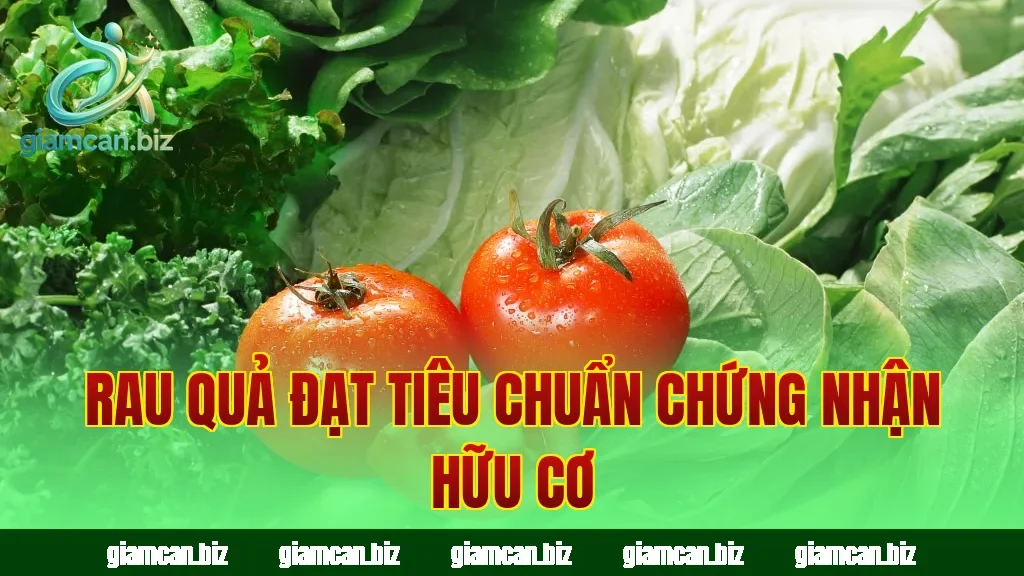 Rau quả đạt tiêu chuẩn chứng nhận hữu cơ