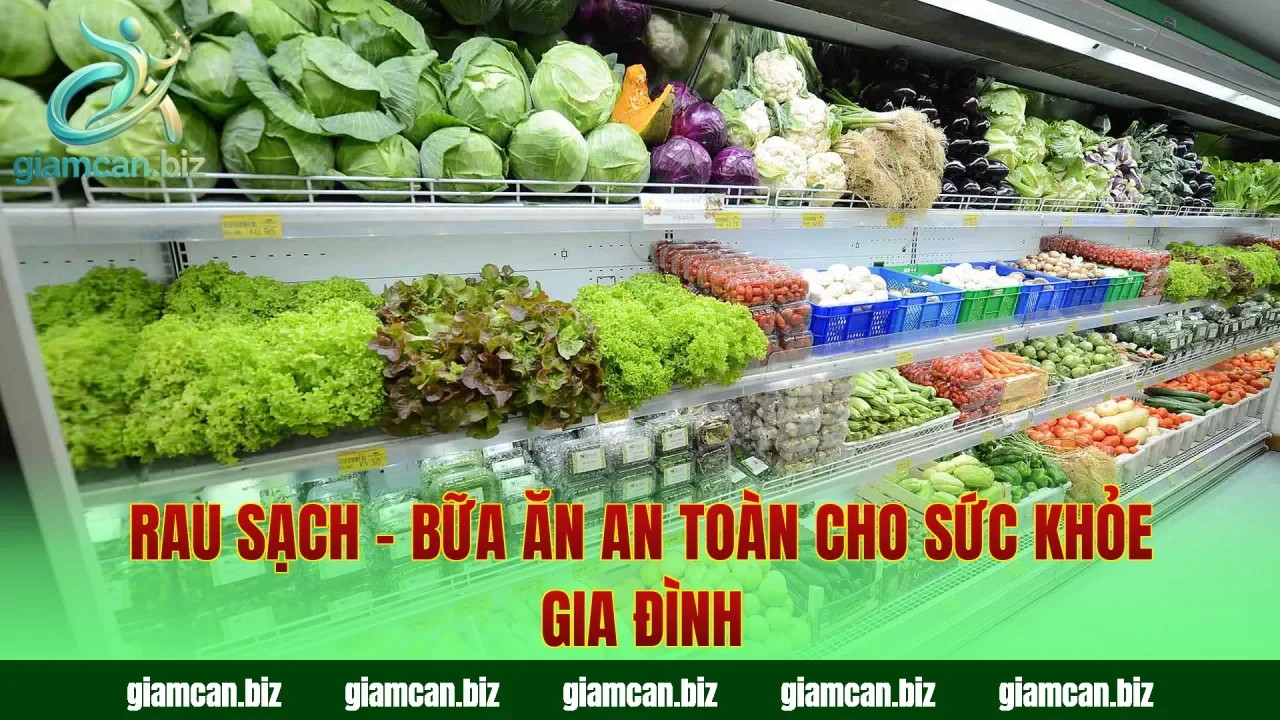 Rau Sạch – Bữa Ăn An Toàn Cho Sức Khỏe Gia Đình