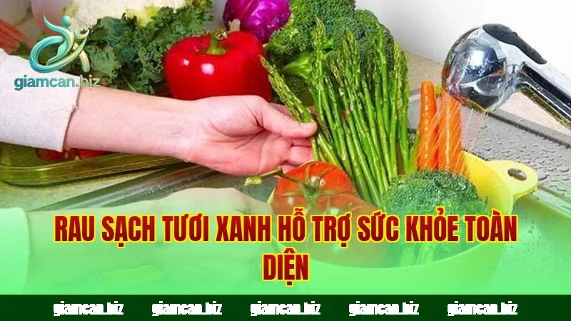 Rau sạch tươi xanh hỗ trợ sức khỏe toàn diện