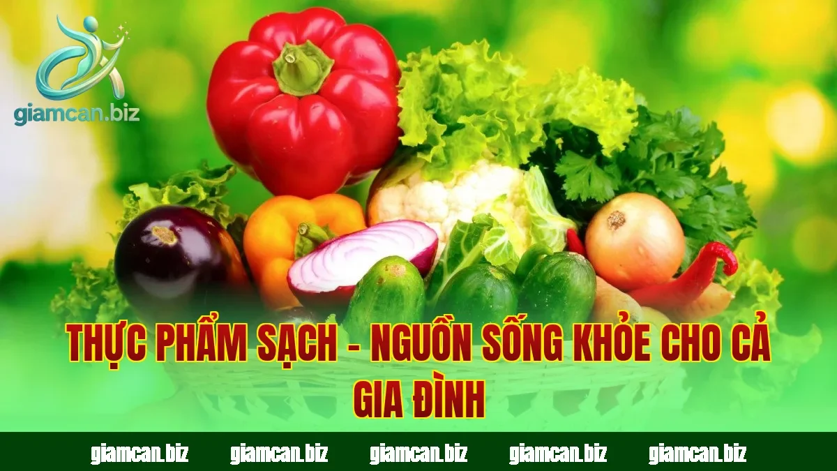 Thực Phẩm Sạch – Nguồn Sống Khỏe Cho Cả Gia Đình
