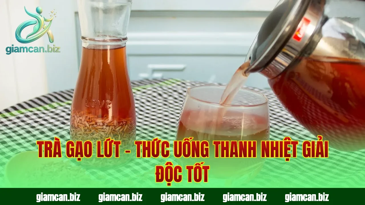 Trà Gạo Lứt – Thức Uống Thanh Nhiệt Giải Độc Tốt