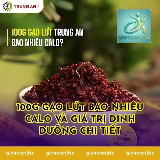 100g Gạo Lứt Bao Nhiêu Calo Và Giá Trị Dinh Dưỡng Chi Tiết