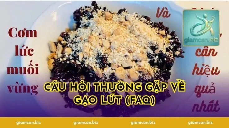Câu Hỏi Thường Gặp Về Gạo Lứt (FAQ)