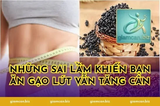 Những Sai Lầm Khiến Bạn Ăn Gạo Lứt Vẫn Tăng Cân