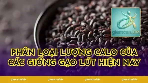 Phân Loại Lượng Calo Của Các Giống Gạo Lứt Hiện Nay